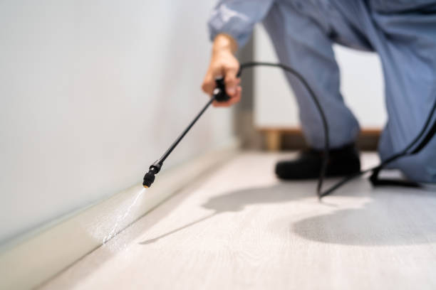 Licensed Pest Control service in Highland Park, MI - Show Me Pest Control