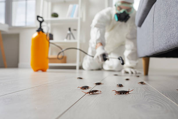 Post-Treatment Bed Bug Interceptor Monitoring in Highland Park